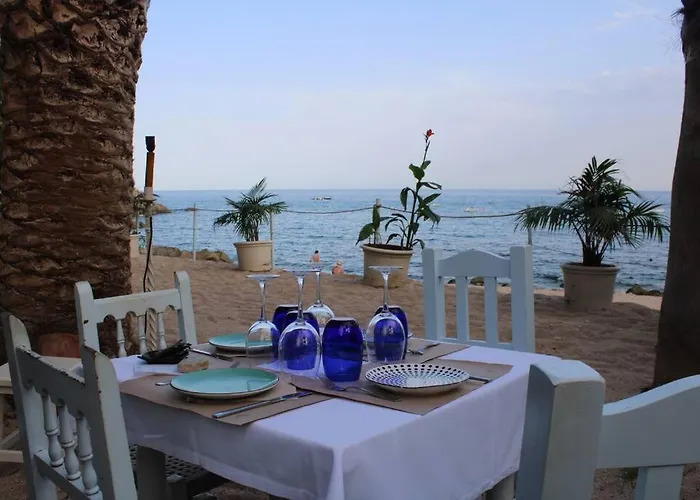 Lägenhet Estudio A 100m De La Playa